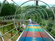 �m�[�X���B���b�W