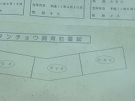 �^���`���E