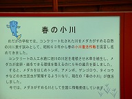 �߂����̊w�Z