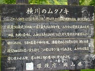 ���N�m�L