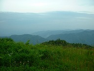 ���C����
