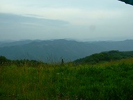 ���C����