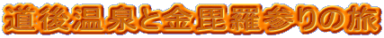 ㉷ƋQ̗