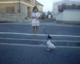 �C���_�A�C���_�A�s���Ȃ���[�I