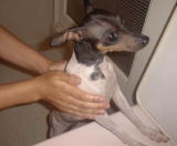 �����C�͌������Č����Ă�ł�����I�I�ӂ���I