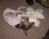 �܂��܂��[