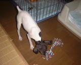 �����񁛁I