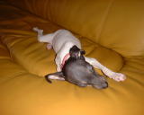 �Q��͂��킢���ł����