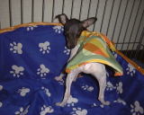 ���悧�[������I