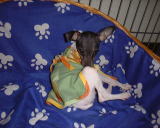 �Ȃ񂩋C�ɂȂ�̂��