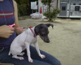 �q�r�j�o�����ւ��ł���