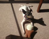 ��������������