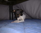 �����̒��͉��K