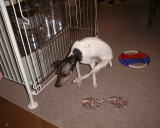 �~���~��