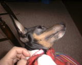 �C���������ƌ������ɂ��[���ĂȂ��