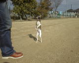 ���ӋZ�̓񑫕��s