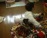 �����ς�f�d�s�I