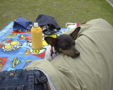 ��������̃����ɉ���Ă����H