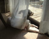 �߂����₷���G�߂ɂȂ�����