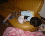 �������Q�����Ă�