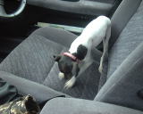 �܂��܂��@��@��