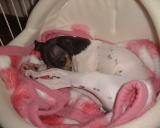 �����C�^�C�������@�Q���ӂ�Q���ӂ�