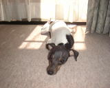 �������M�H