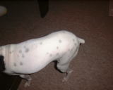 �����̂�����