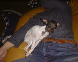 �p�p���[��i�́[�Ɓj