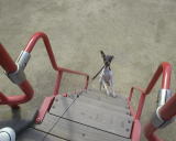 �o��Ȃ��悧