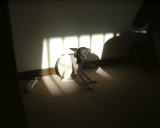 ���������`