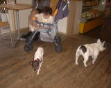 �Ŕ��u�����������v�ƁE�E�E