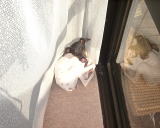 �y���[��