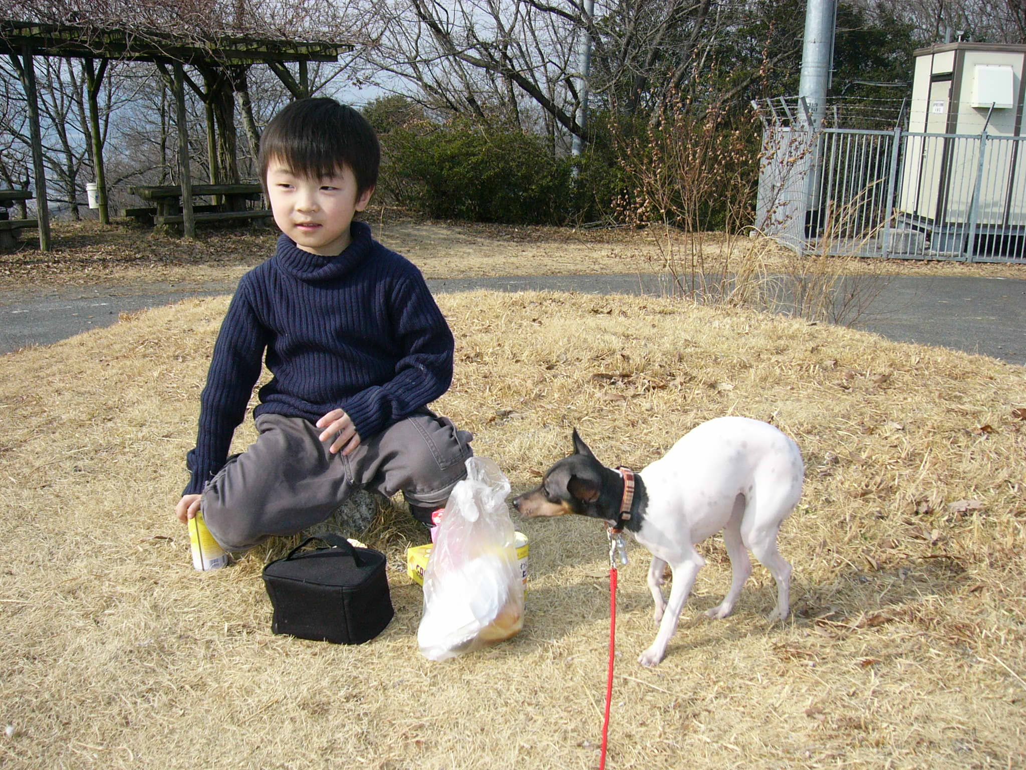 ����ς肨����C�ɂȂ�C�ɂȂ�