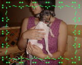 �J�t�F�ŁE�E�E