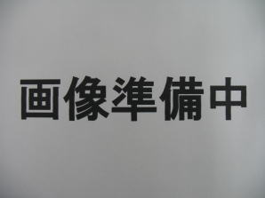 C[W01