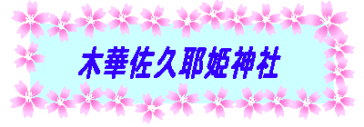؉؍vP_ 