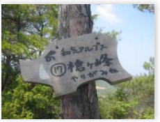 クリックして下さい。