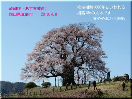 摜t@C