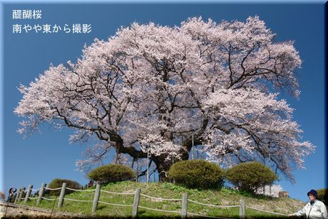 摜t@C